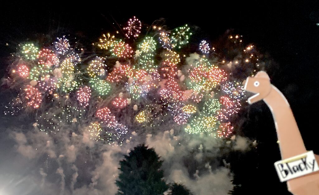 ブラッキー写真